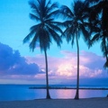 St. Anne Beach, Guadeloupe, Caribbean Islands